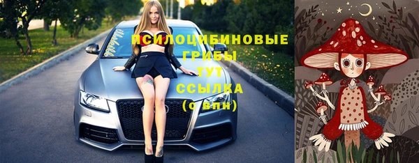 спиды Нея