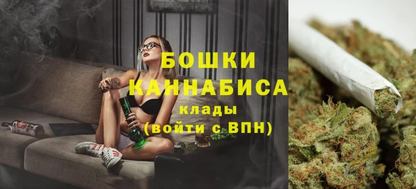 мескалин Новодвинск