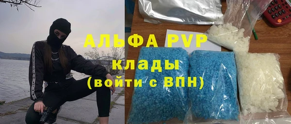прущие крисы Новокубанск