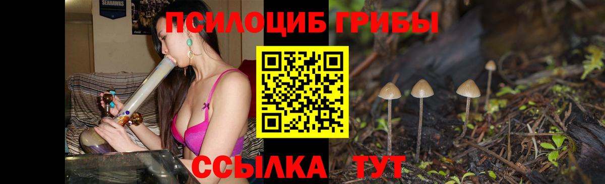 Псилоцибиновые грибы Magic Shrooms Туймазы